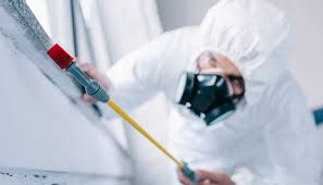 Best Commercial Pest Control  in Dillsboro, IN